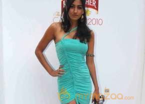 Kingfisher Calender Launch  photo 22