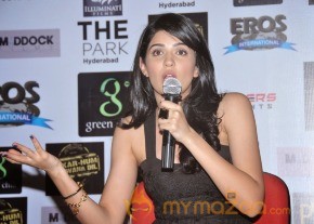 Lekar Hum Deewana Dil Movie Press Meet photo 37
