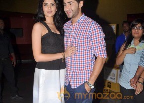 Lekar Hum Deewana Dil Movie Press Meet photo 23