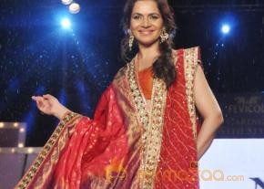 Manish Malhotra & Shaina NC For CPAA Fashion Show  photo 3