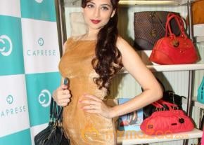  Miss India 2013 At Caprese Spring Summer 2013 Collection  photo 19