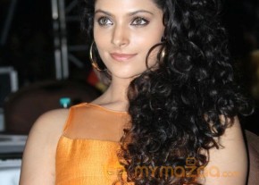 Miss n Mrs India Gujarati Fashion Show Photos02 photo 59