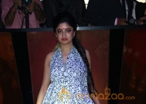 Models and Celebrities at The Pink Affair Fashion Show Photos photo 4