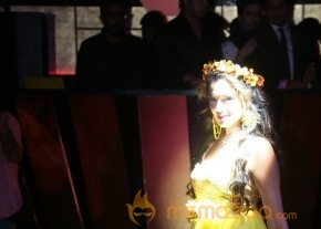 Models and Celebrities at The Pink Affair Fashion Show Photos photo 84