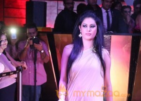 Models and Celebrities at The Pink Affair Fashion Show Photos photo 7