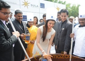 Novotel Fruit Mixing Brunch Ceremony Photos photo 14