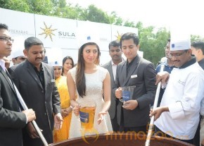 Novotel Fruit Mixing Brunch Ceremony Photos photo 21