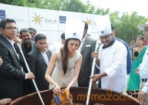 Novotel Fruit Mixing Brunch Ceremony Photos photo 61