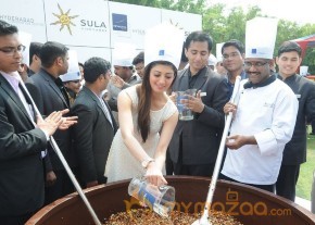 Novotel Fruit Mixing Brunch Ceremony Photos photo 2