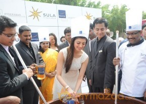 Novotel Fruit Mixing Brunch Ceremony Photos photo 22