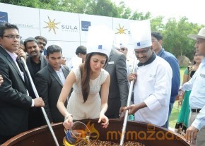 Novotel Fruit Mixing Brunch Ceremony Photos photo 19