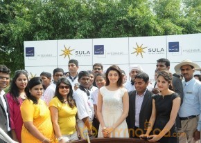 Novotel Fruit Mixing Brunch Ceremony Photos photo 37