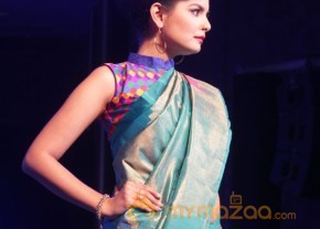 Palam Silks 15 Fashion Show of Happy Near Film Bollywood Stars Photos photo 19