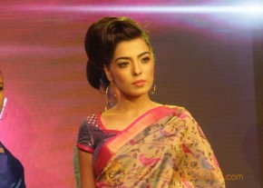 Palam Silks 15 Fashion Show of Happy Near Film Bollywood Stars Photos photo 29