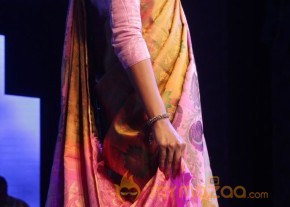 Palam Silks 15 Fashion Show of Happy Near Film Bollywood Stars Photos photo 30