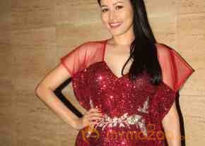 Pria Kataria Puri Fashion Show photo 19