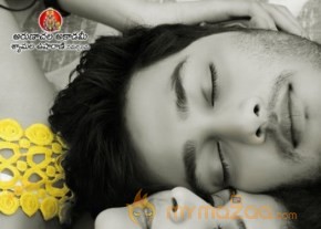 Prince New Movie Posters photo 3