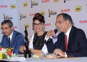 Priyanka At 59th Idea Filmfare Awards 2013 photo 10