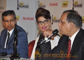 Priyanka At 59th Idea Filmfare Awards 2013 photo 34