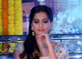 Raanjhanaa Movie Team Press Meet  photo 52
