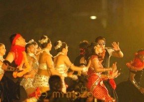 Shriya &amp; SRK Performing At IPL Opening Ceremony photo 11