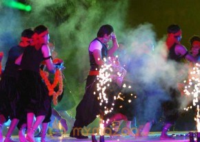 Shriya &amp; SRK Performing At IPL Opening Ceremony photo 18