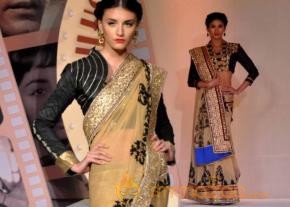 Silhouettes 2013 Bollywood Bytes Event  photo 4