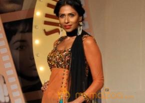 Silhouettes 2013 Bollywood Bytes Event  photo 22
