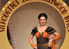 Silhouettes 2013 Bollywood Bytes Event  photo 53