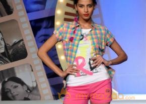 Silhouettes 2013 Bollywood Bytes Event  photo 78
