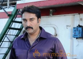 Singam 2 Movie Latest Photos photo 4