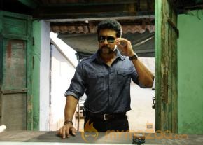 Singam 2 Movie Latest Photos photo 16