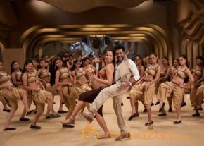 Singam 2 Movie Latest Photos photo 41