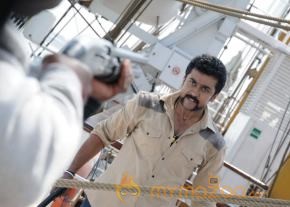 Singam 2 Movie Latest Photos photo 32