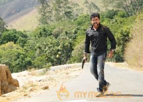 Singam 2 Movie Latest Photos photo 50