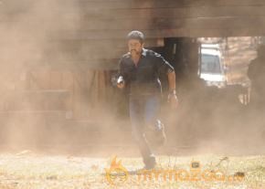 Singam 2 Movie Latest Photos photo 48