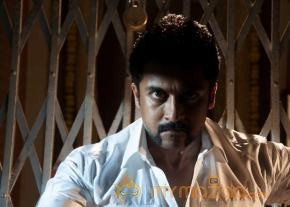 Singam 2 Movie Latest Photos photo 28