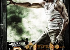 Singam 2 Movie Latest Posters photo 2
