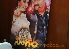 Singam 2 Movie Success Meet Photos photo 45