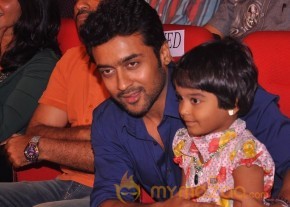 Singam Audio Launch Photos photo 89