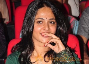 Singam Audio Launch Photos photo 65