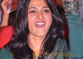 Singam Audio Launch Photos photo 83