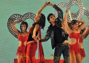 Stars Performs in T20 Cricket at Durban photo 10
