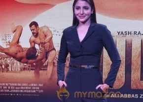 Sultan Hindi Movie Trailer Launch Photos photo 5