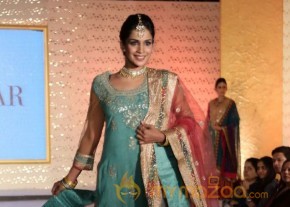 The Hindu Bridal Mantra 2014 Fashion week photos photo 18
