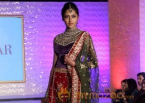 The Hindu Bridal Mantra 2014 Fashion week photos photo 9