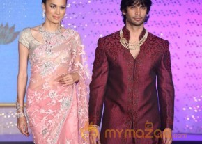 The Hindu Bridal Mantra 2014 Fashion week photos photo 78