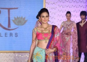 The Hindu Bridal Mantra 2014 Fashion week photos photo 69