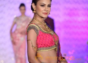 The Hindu Bridal Mantra 2014 Fashion week photos photo 19