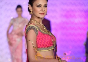 The Hindu Bridal Mantra 2014 Fashion week photos photo 55